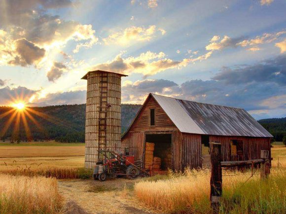 Desarrollo Económico Local